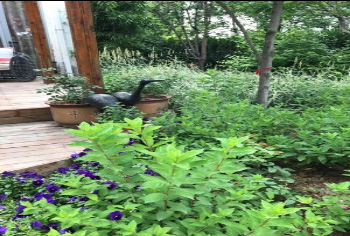 后院装修