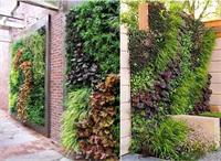 天津庭院施工植物养护技术